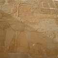 Al-Deir Al-Bahari Temple壁畫4.JPG