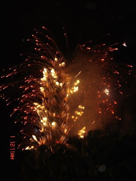 101Firework-2(2007.12.31).jpg