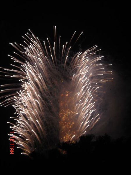 101Firework-3(2007.12.31).jpg