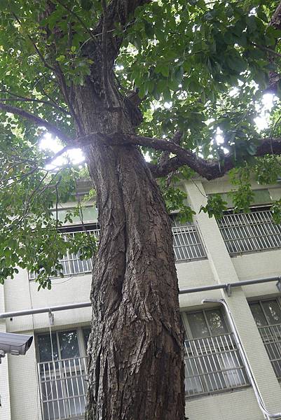 _1210307.JPG _1210307.JPG