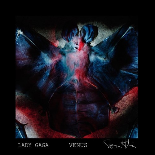 lady-gaga-venus-e1382688603576