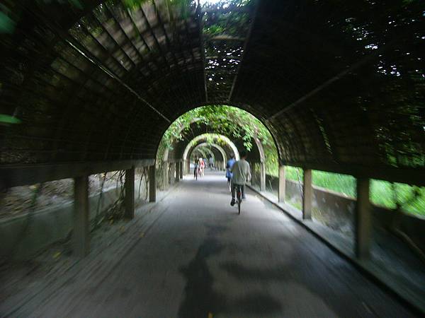 台東森林公園 (29)