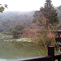 向天湖岸,天氣不好風景拍的也不好