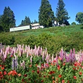 有山有花視野遼闊