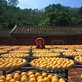 10.2鳯崎古道,杮餅 034.JPG