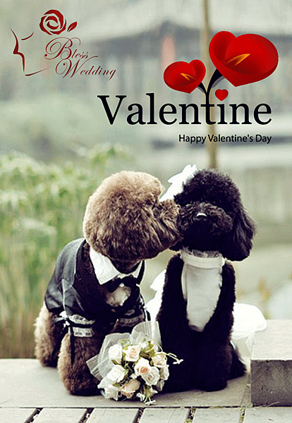 情人節快樂 情人節快樂