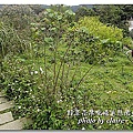 野草花果有機生態農場.jpg