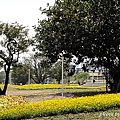 009.果樹園區--圓山公園區.jpg