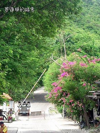 48.芭達雅的綠意.jpg
