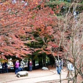 10.福壽山農場.jpg