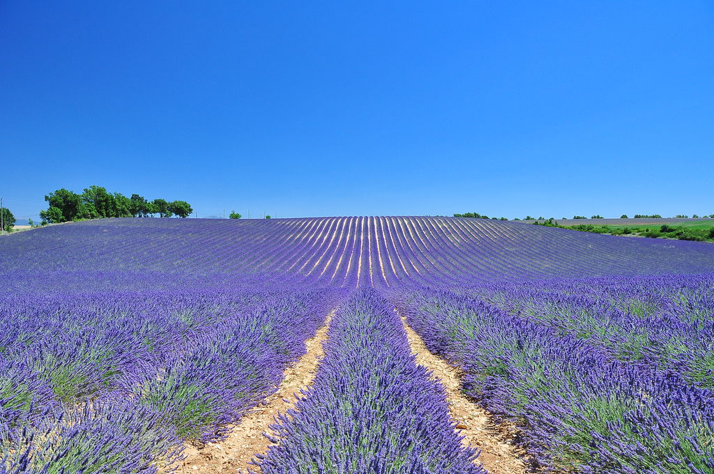 DSC_5114.JPG DSC_5114.JPG