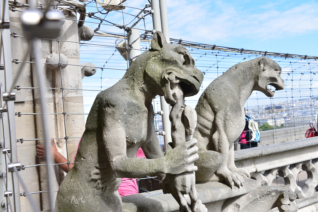 DSC_7109.JPG DSC_7109.JPG