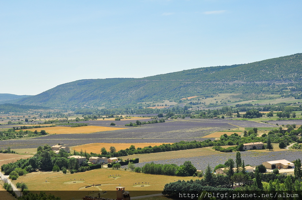 DSC_6318.JPG