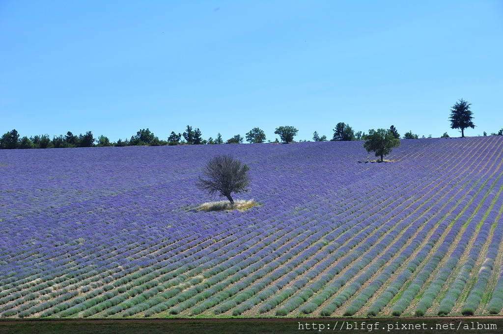 DSC_6395.JPG