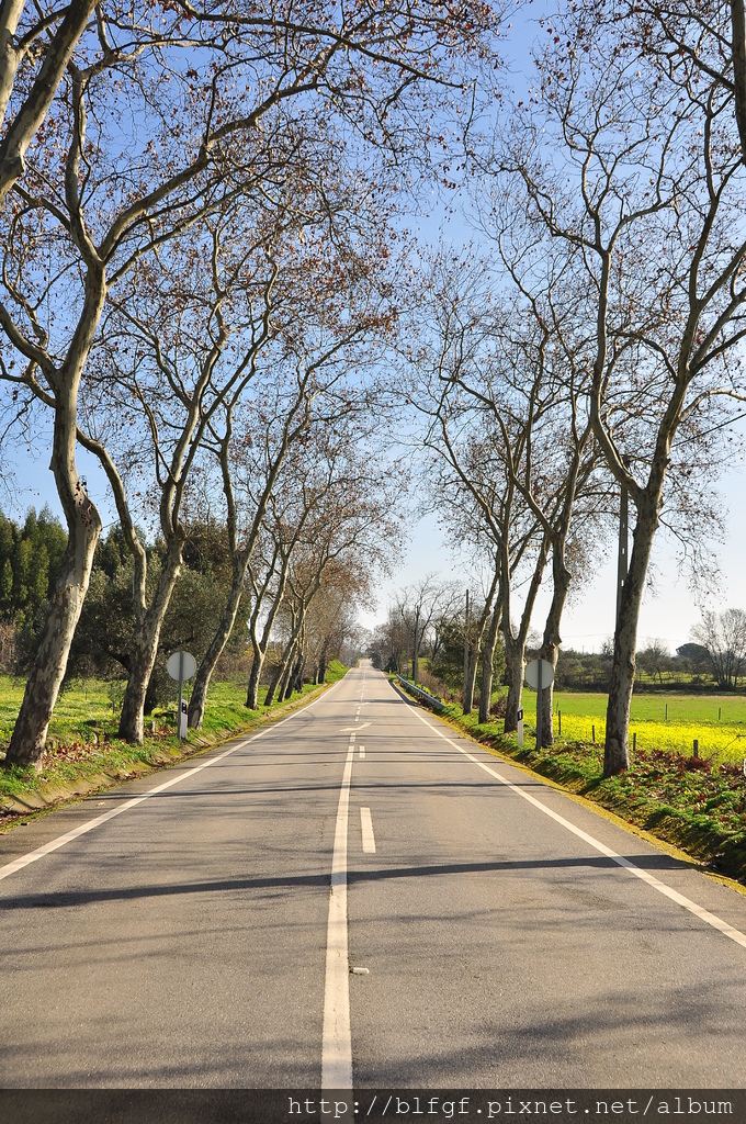 DSC_9331.JPG DSC_9331.JPG