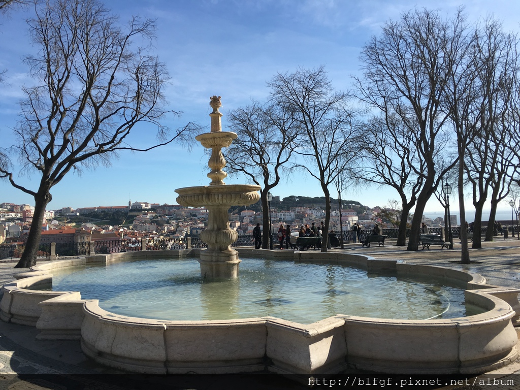 IMG_2247.JPG IMG_2247.JPG