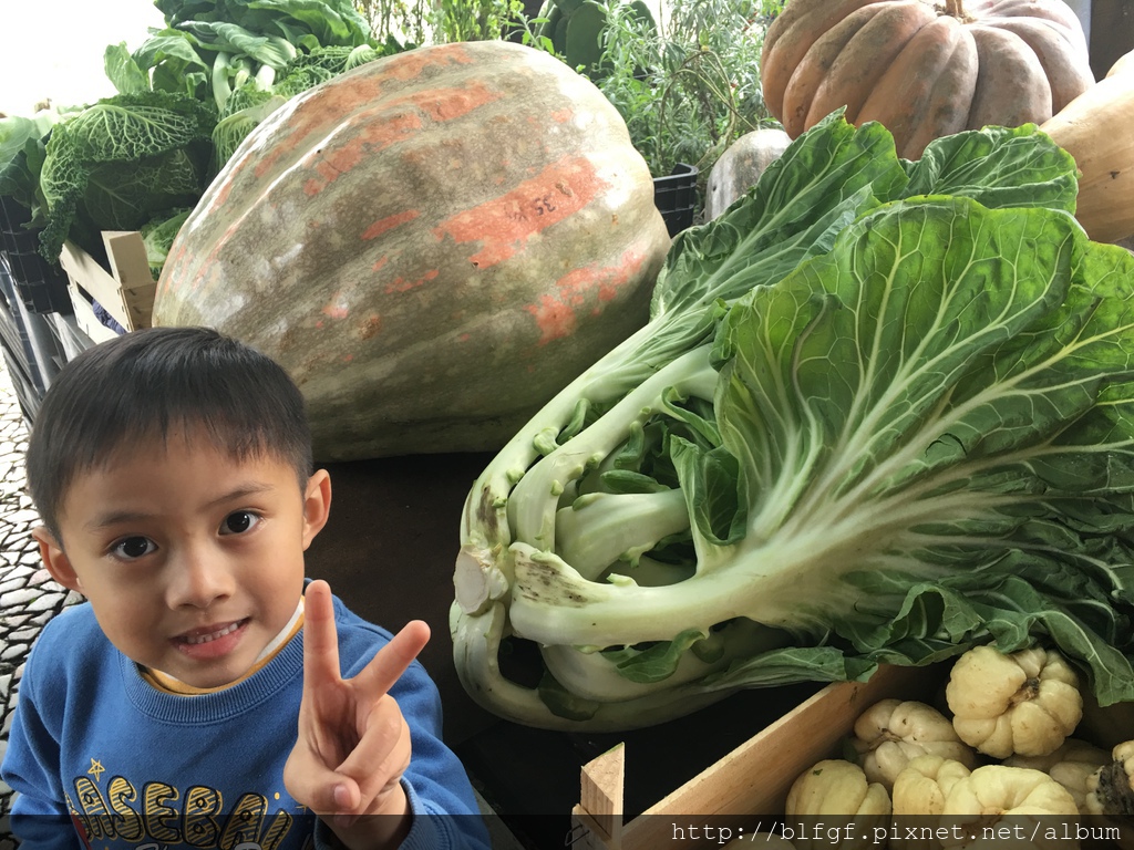 IMG_1190.JPG IMG_1190.JPG