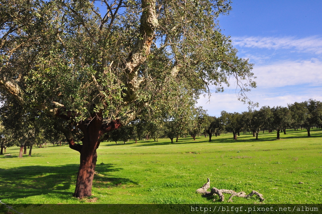 DSC_9137.JPG DSC_9137.JPG