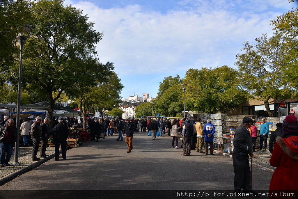 DSC_9883.JPG DSC_9883.JPG