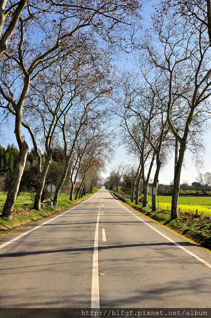 DSC_9331.JPG DSC_9331.JPG