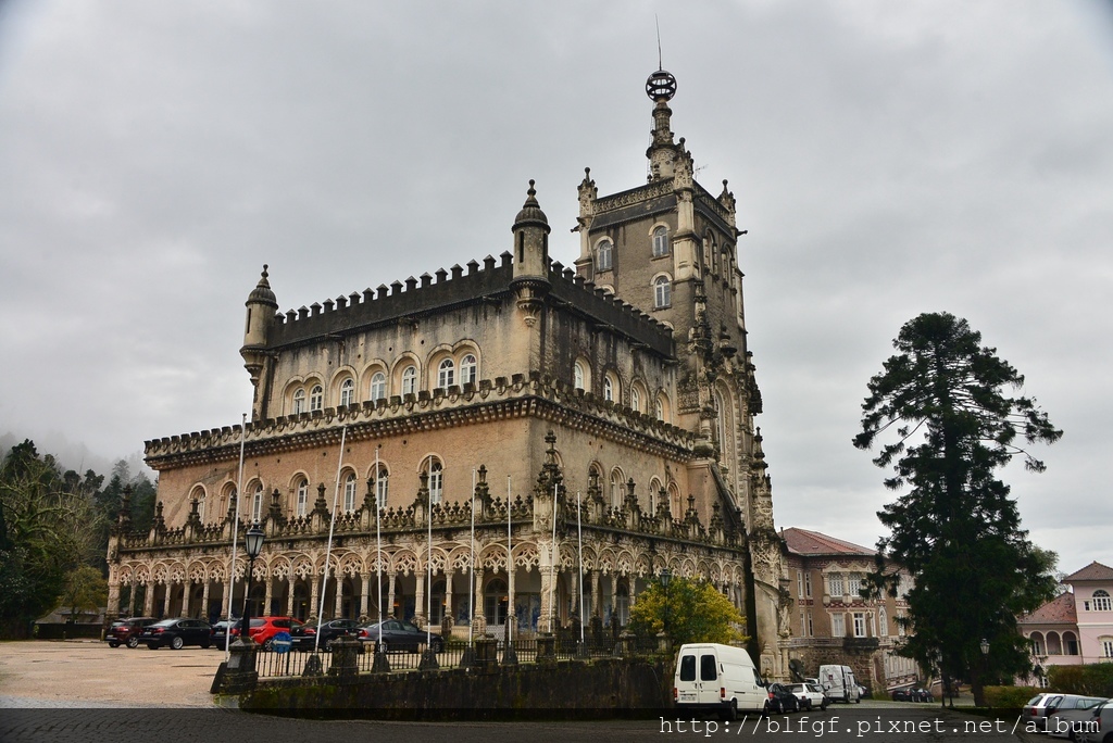 DSC_0132.JPG DSC_0132.JPG