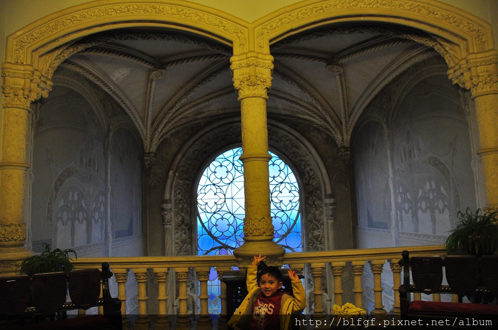 DSC_9388.JPG DSC_9388.JPG