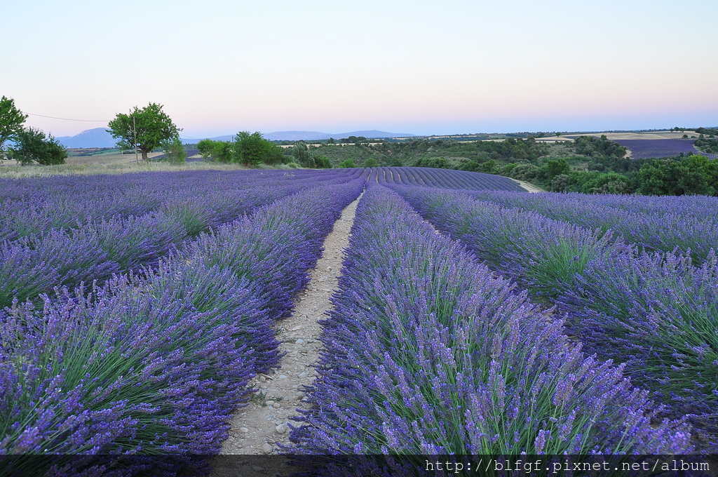 DSC_5341.JPG DSC_5341.JPG