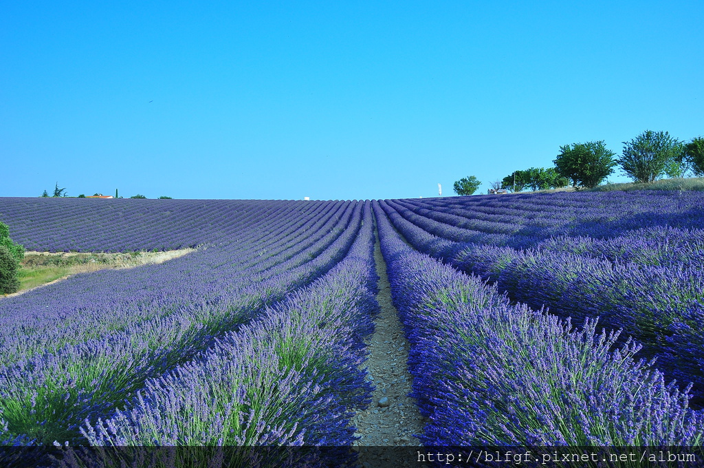 DSC_5378.JPG DSC_5378.JPG