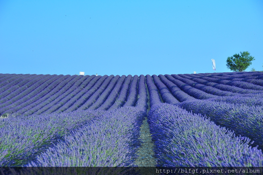 DSC_5377.JPG DSC_5377.JPG