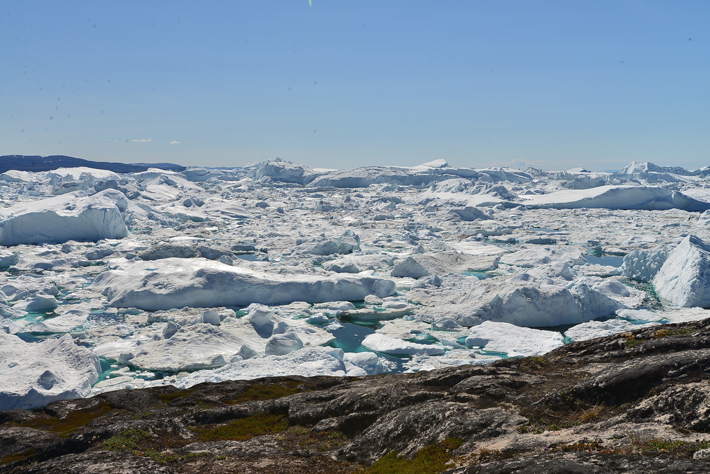 DSC_9609.JPG DSC_9609.JPG