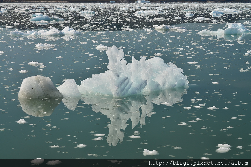 DSC_0131.JPG DSC_0131.JPG