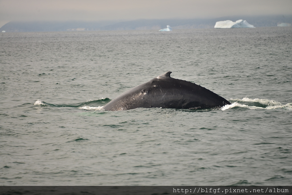 DSC_0267.JPG