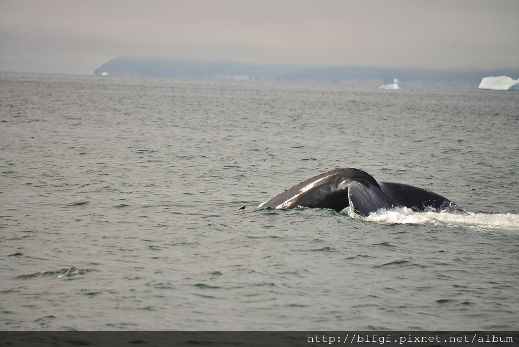 DSC_0269.JPG DSC_0269.JPG