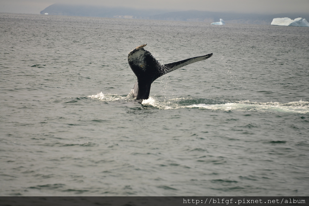 DSC_0270.JPG DSC_0270.JPG