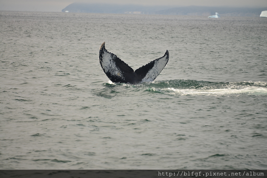 DSC_0271.JPG DSC_0271.JPG