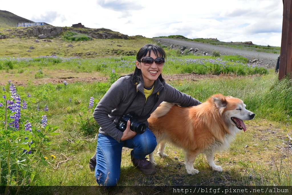 DSC_0702.JPG DSC_0702.JPG