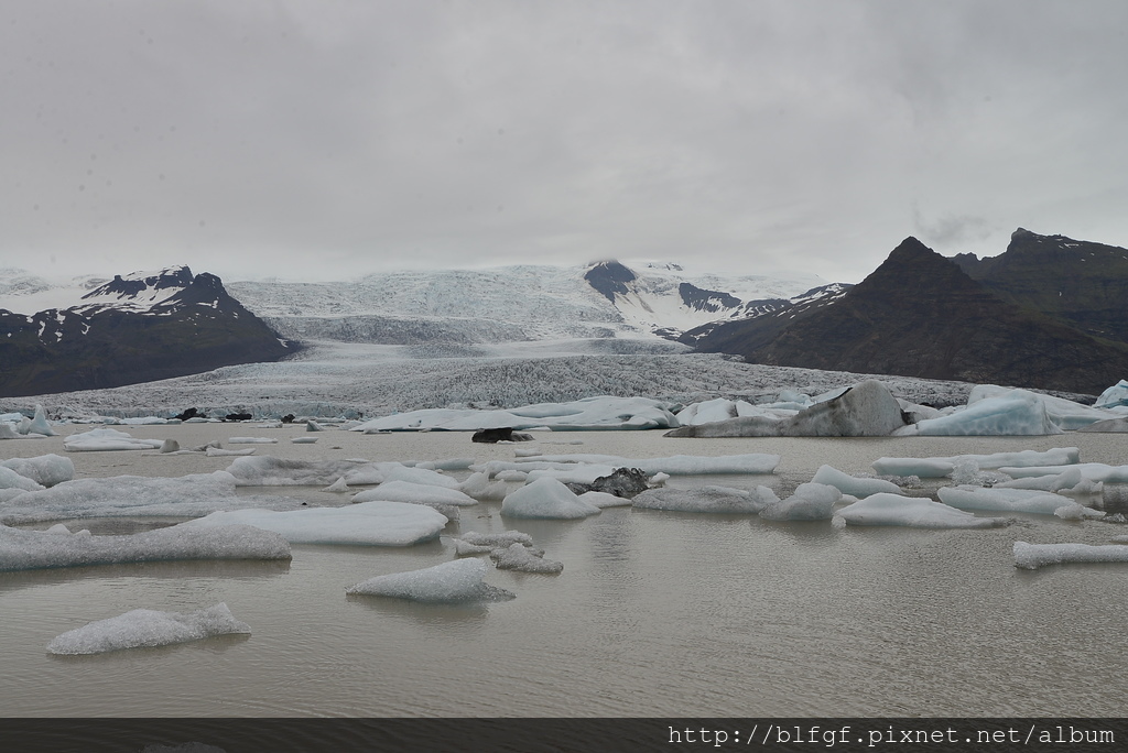 DSC_1235.JPG