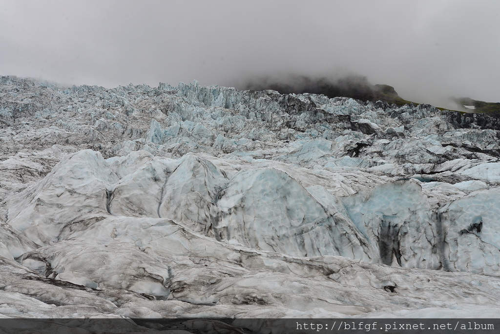 DSC_1421.JPG