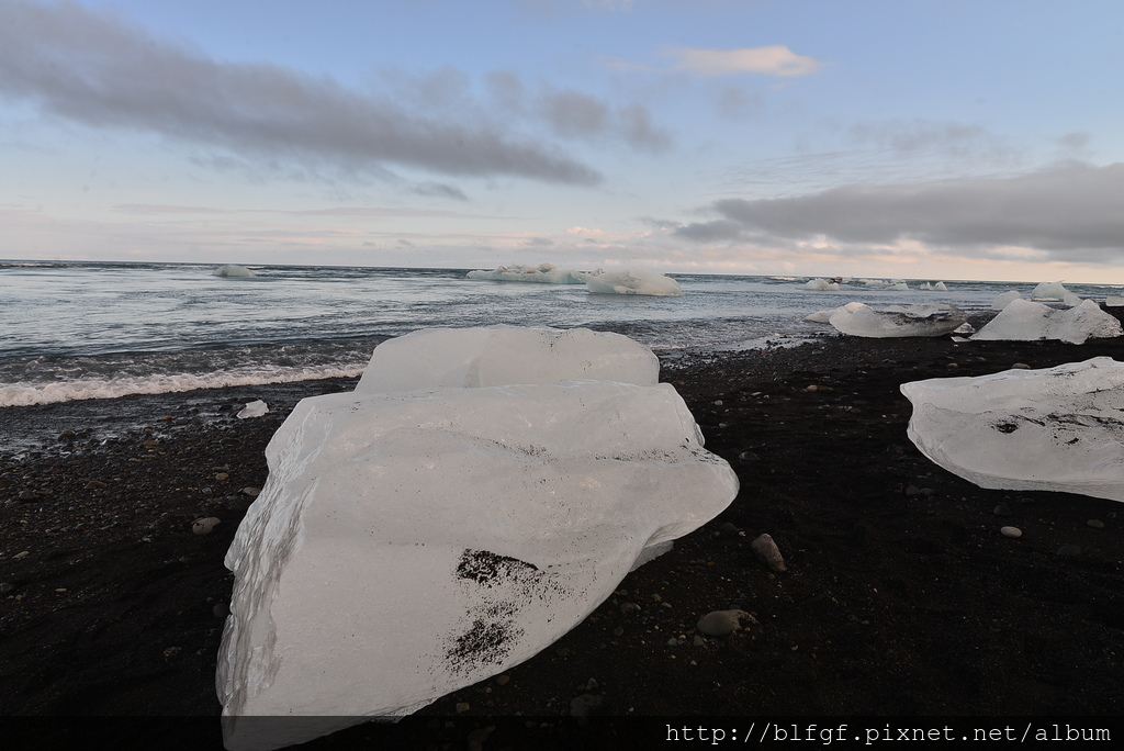 DSC_1503.JPG