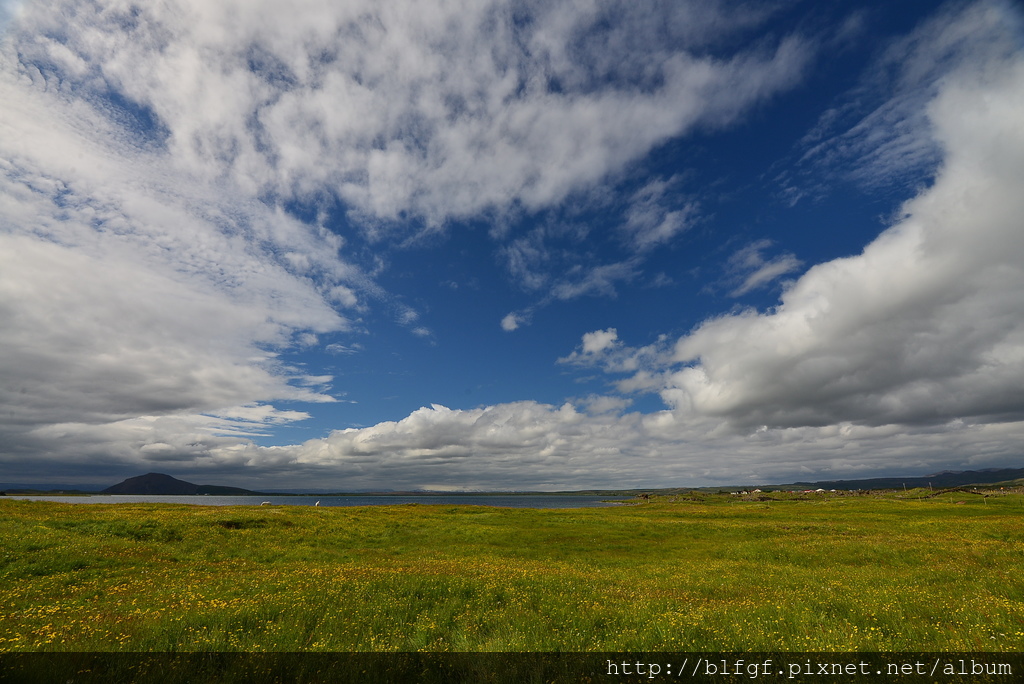 DSC_2398.JPG