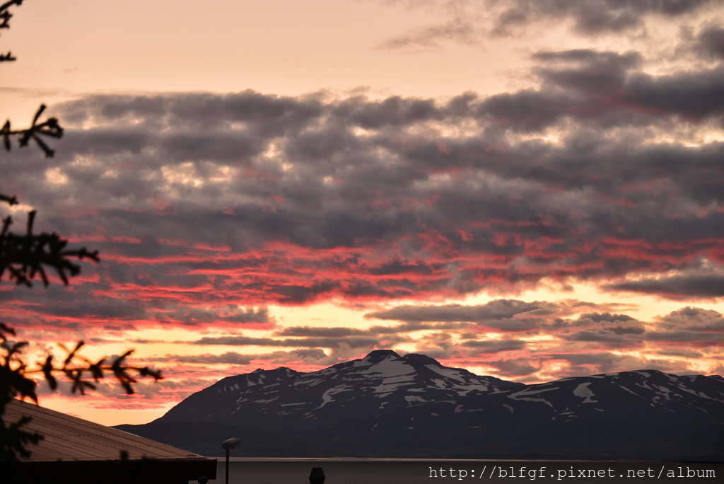 DSC_2737.JPG
