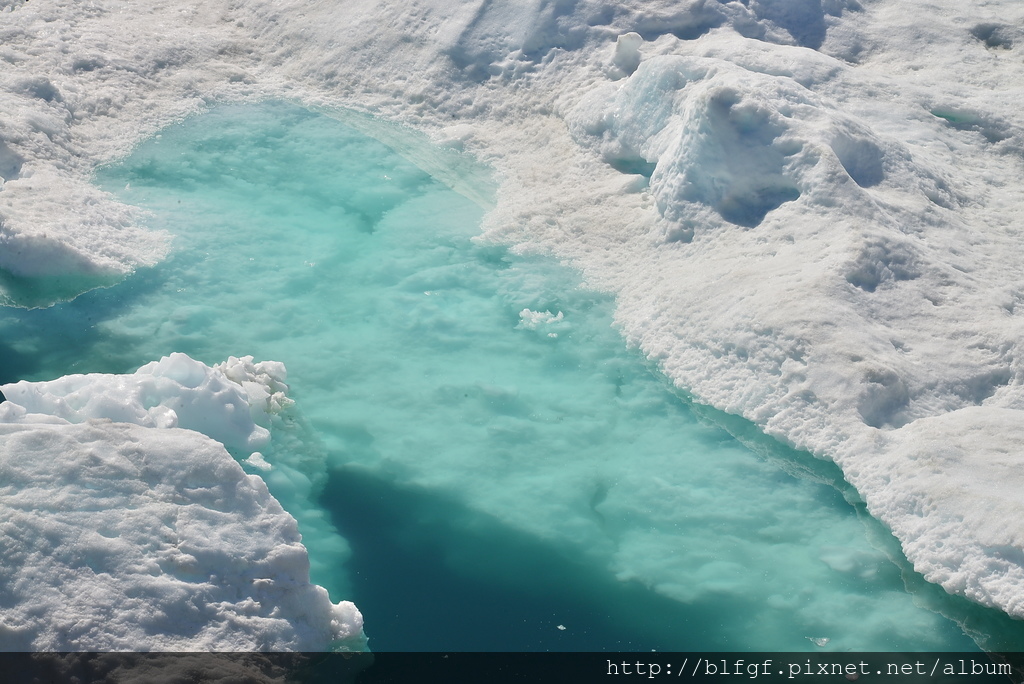 DSC_9518.JPG DSC_9518.JPG