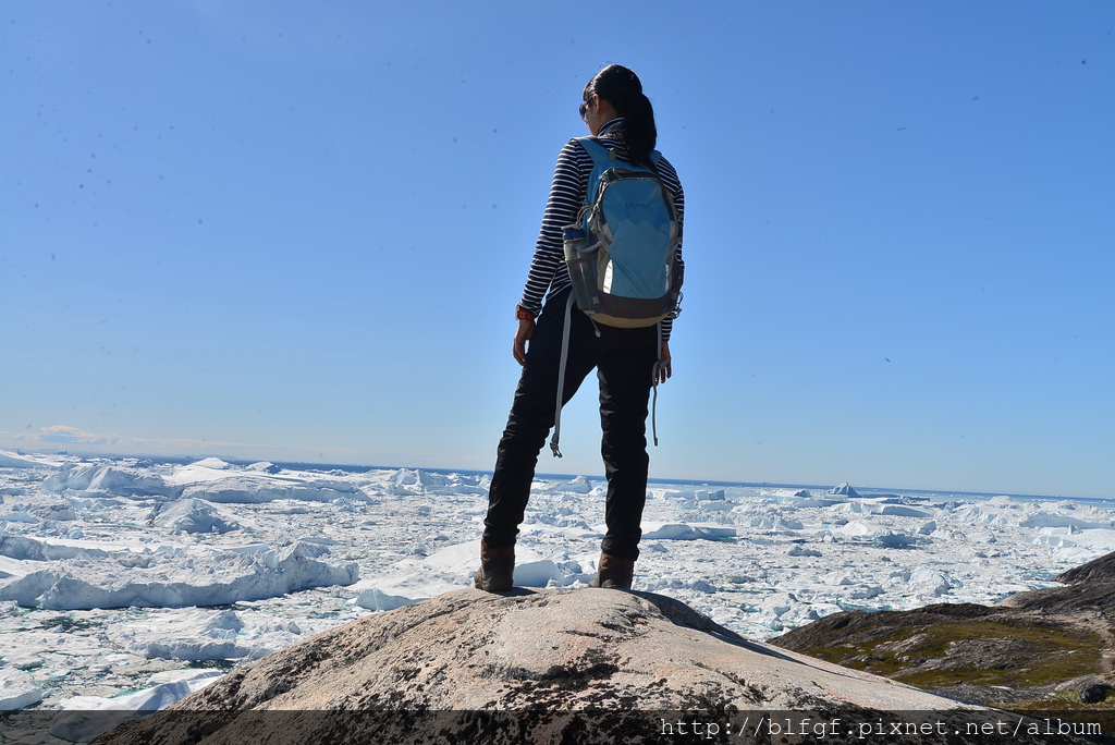 DSC_9645.JPG DSC_9645.JPG