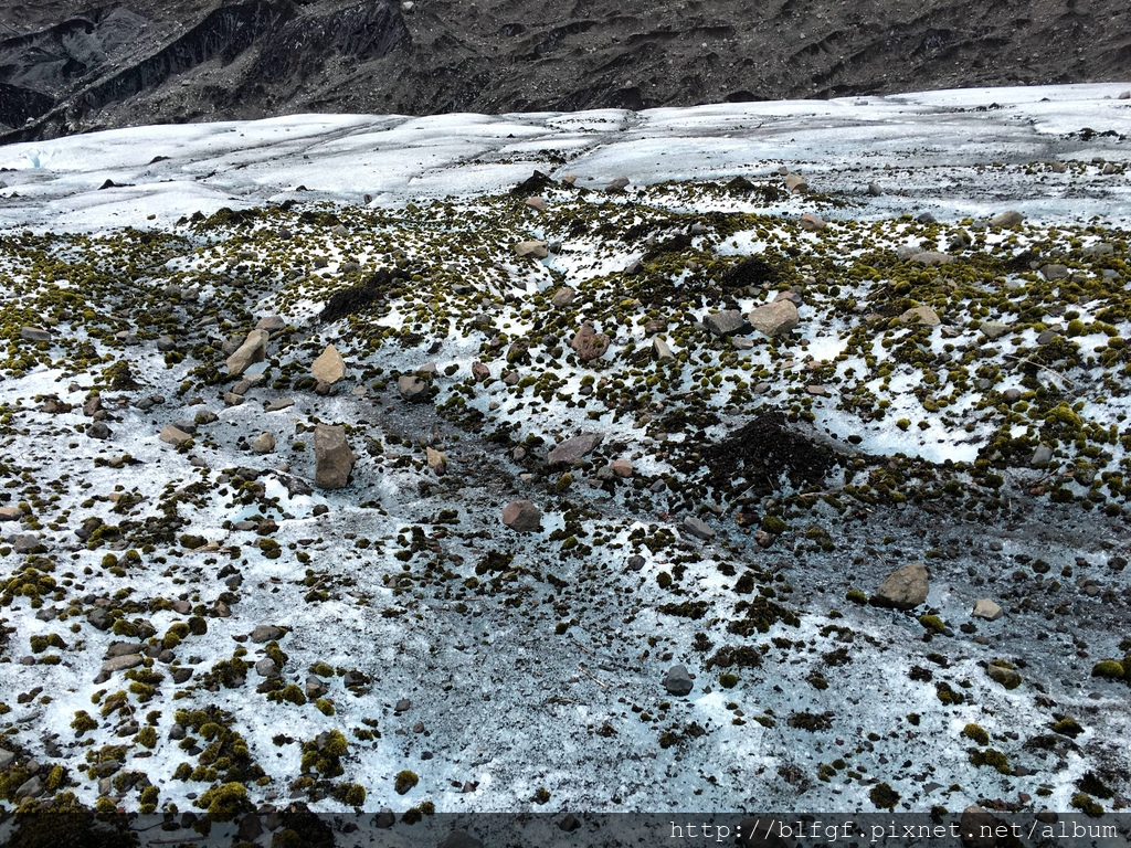 IMG_4473.JPG IMG_4473.JPG