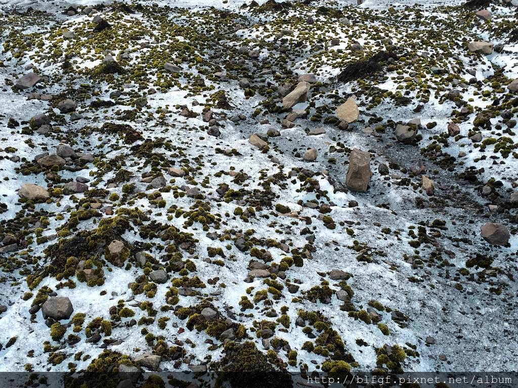 IMG_4479.JPG IMG_4479.JPG