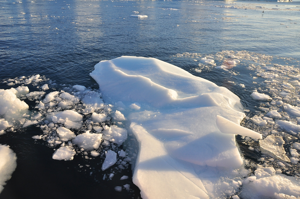 DSC_1286.JPG
