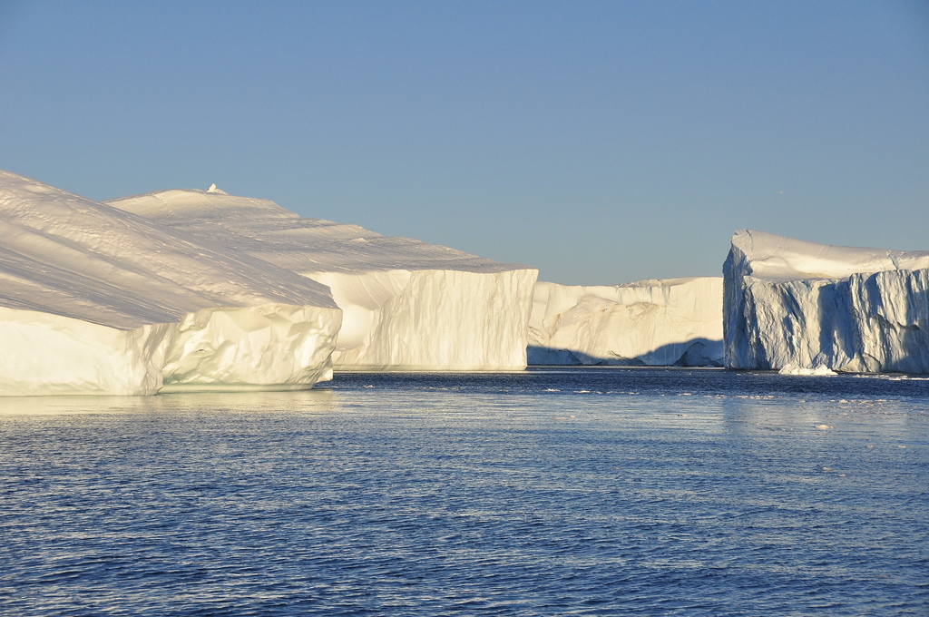 DSC_1316.JPG