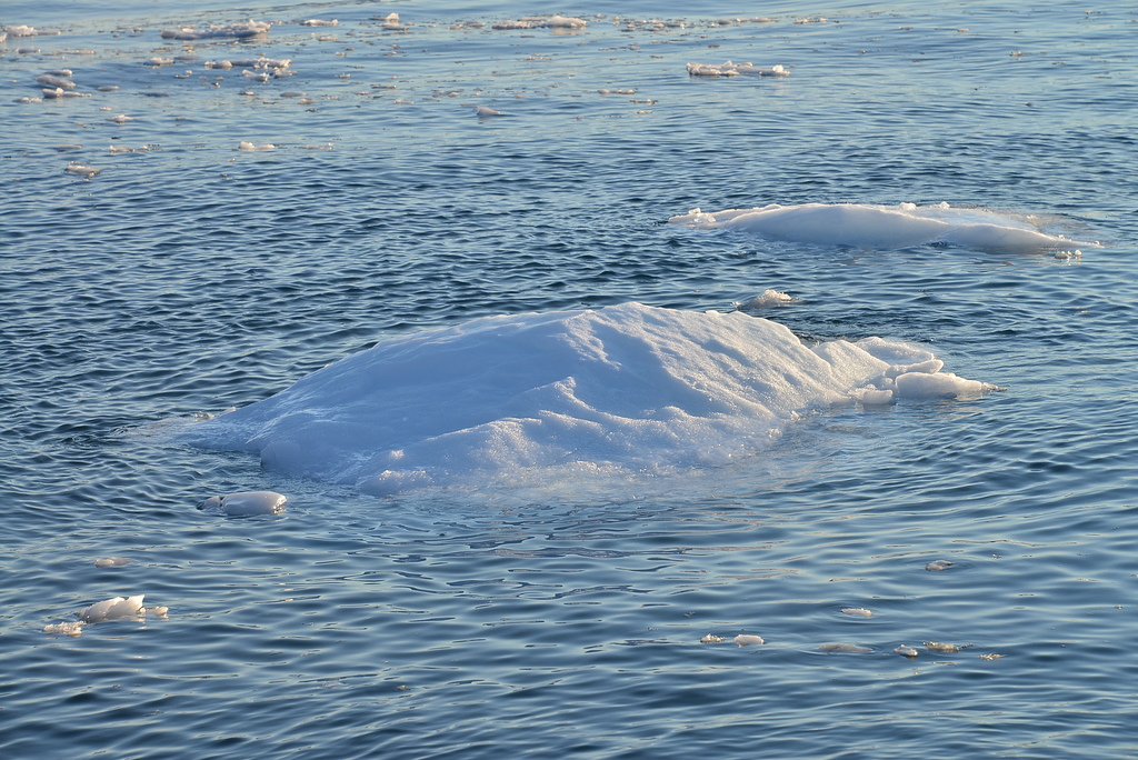 DSC_9239.JPG