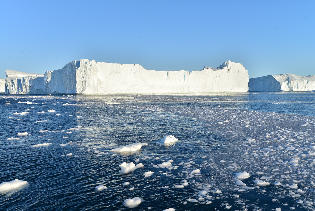 DSC_9273.JPG