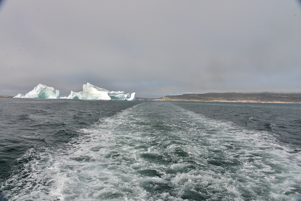 DSC_0231.JPG